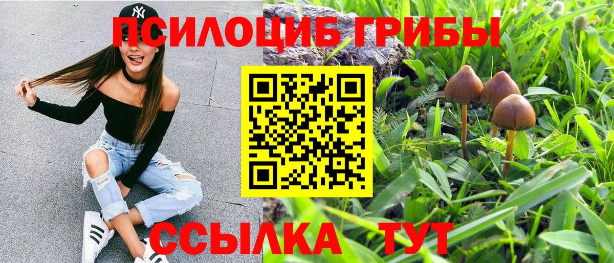 Галлюциногенные грибы Cubensis  Вход с VPN  Минусинск 