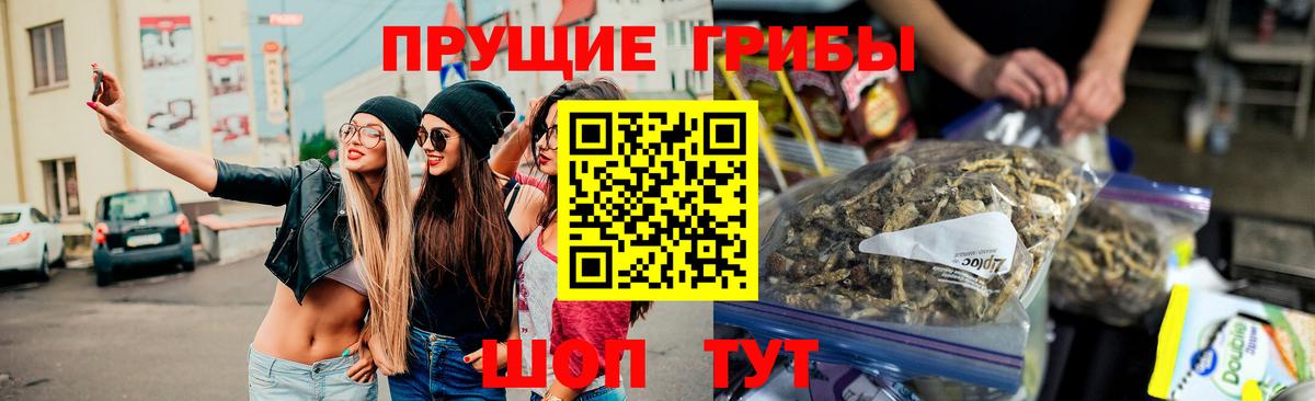 Псилоцибиновые грибы мухоморы Минусинск